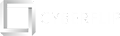 Cyberflip